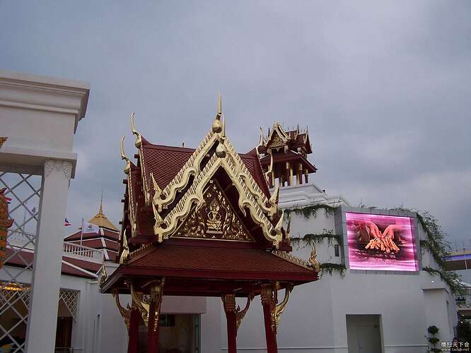 100_6569.jpg